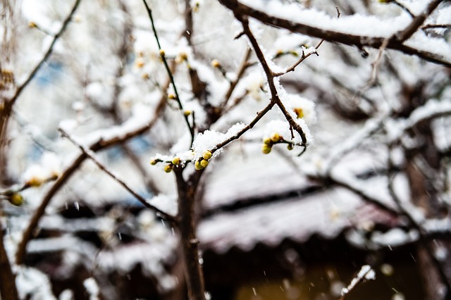 尔西高层对
