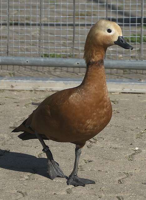 细节决定成