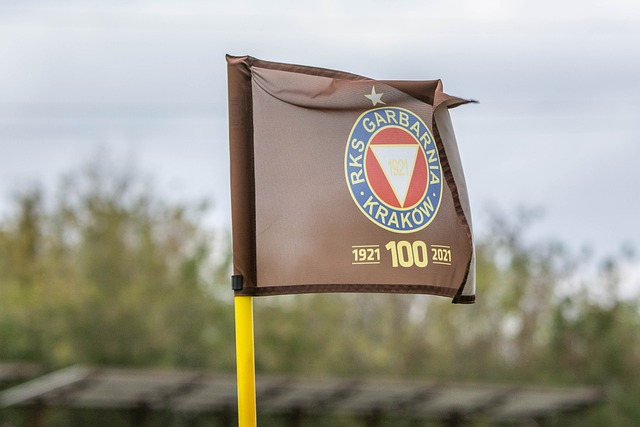 篮如梦初醒 篮如梦初醒