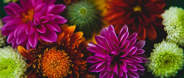 承办单位 承办单位