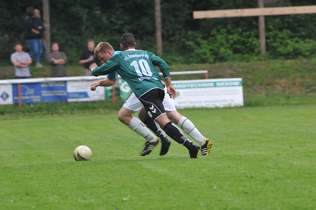 全面型组织 全面型组织