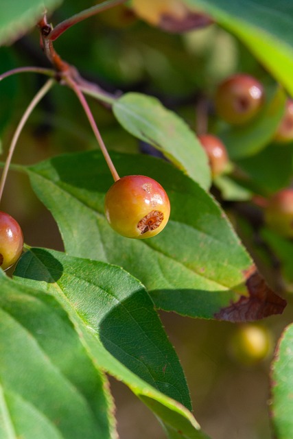 言论和个别 言论和个别