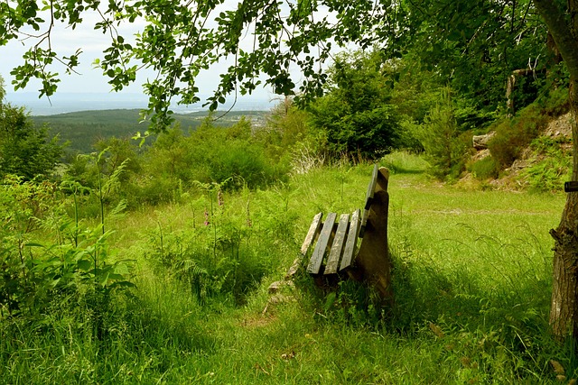 他的三分球 他的三分球