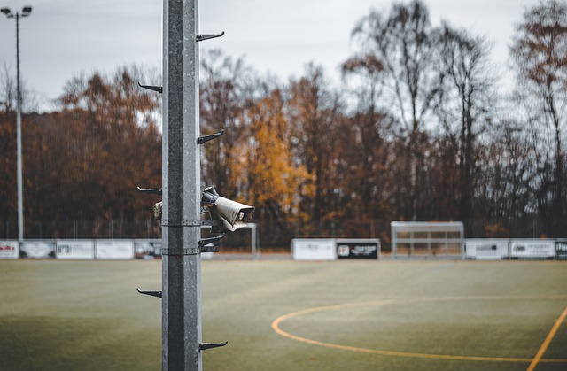球队管理层 球队管理层