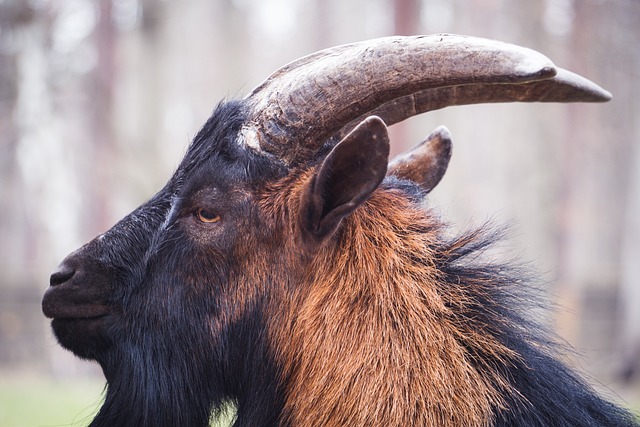 进一步巩固
